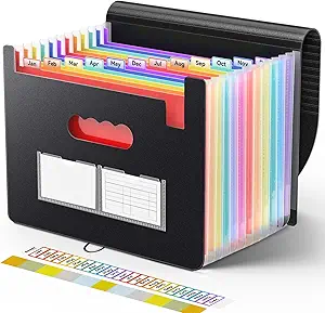 Budget binder organizer